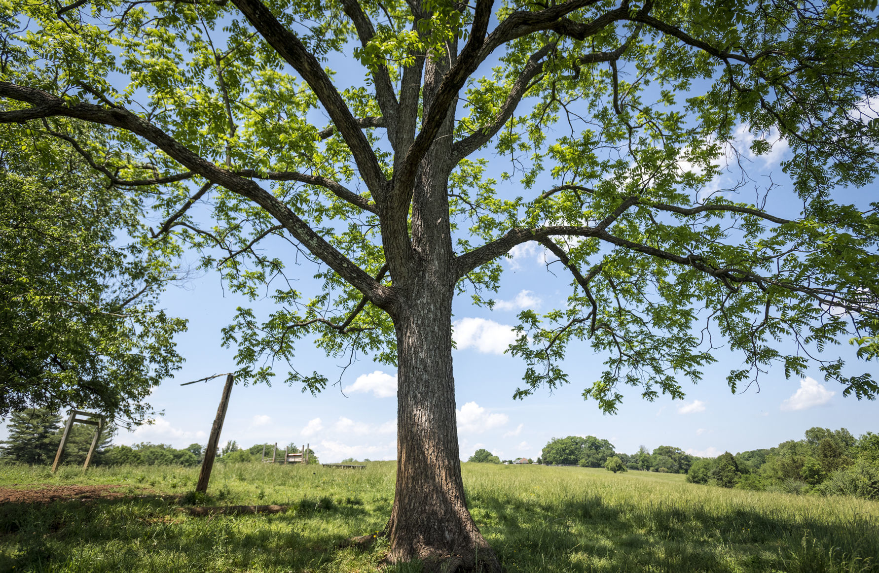 Easement